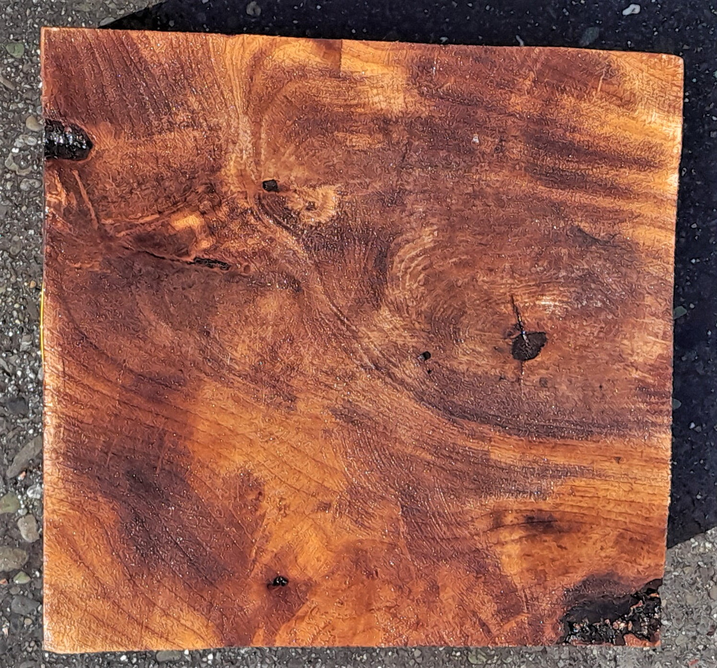 Myrtle burl | wood turning | DIY wood crafts | bl5063
