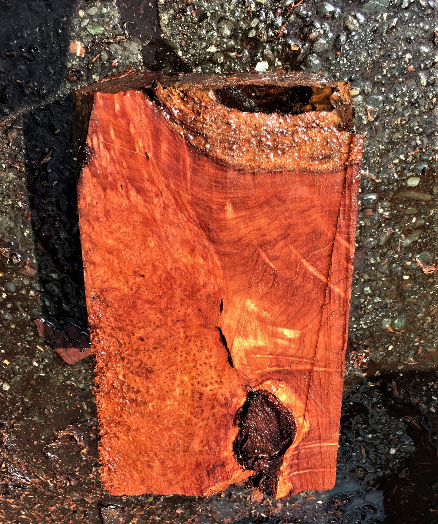 bowl turning | DIY wood crafts | Redwood burl | cradt wood | blz117