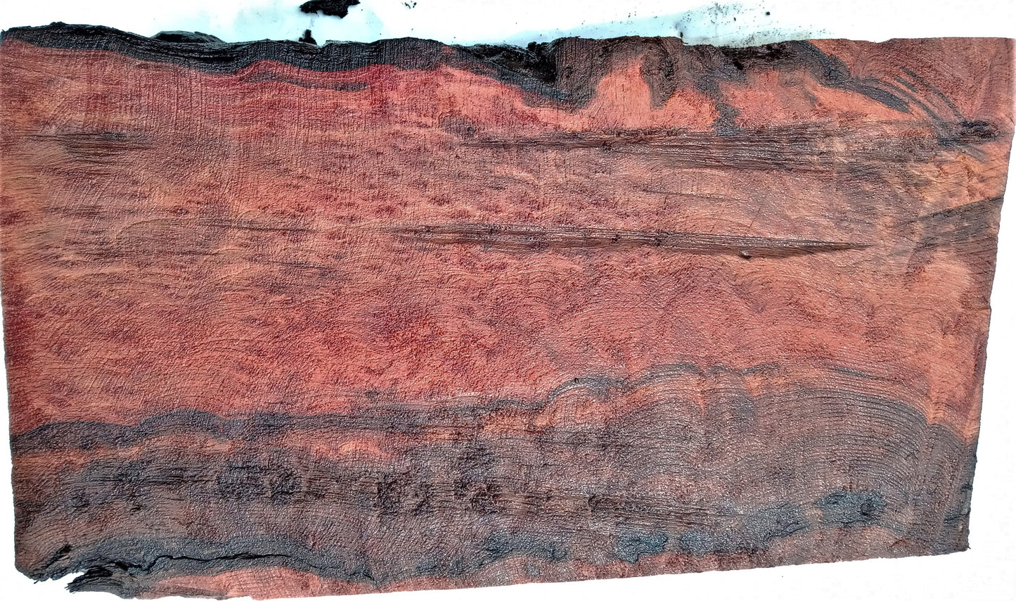 Wood turning | craft woods | lace burl | Knife handles | box wood blz822