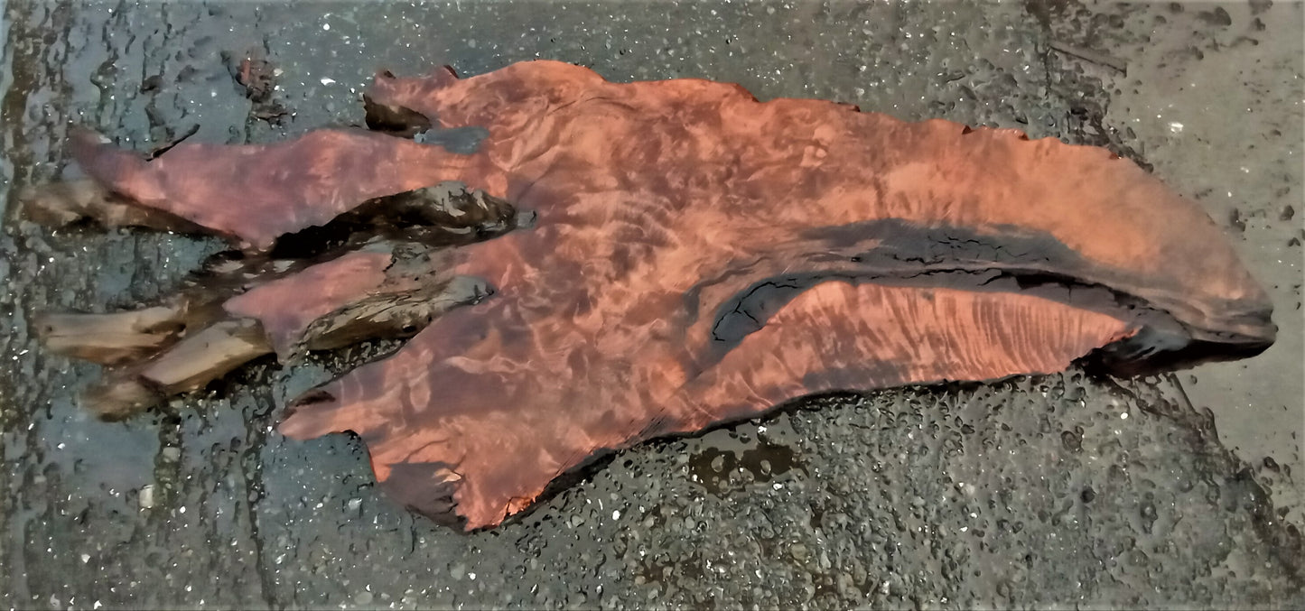 old growth | redwood burl | live edge | river table | DIY craft wood | BS1291