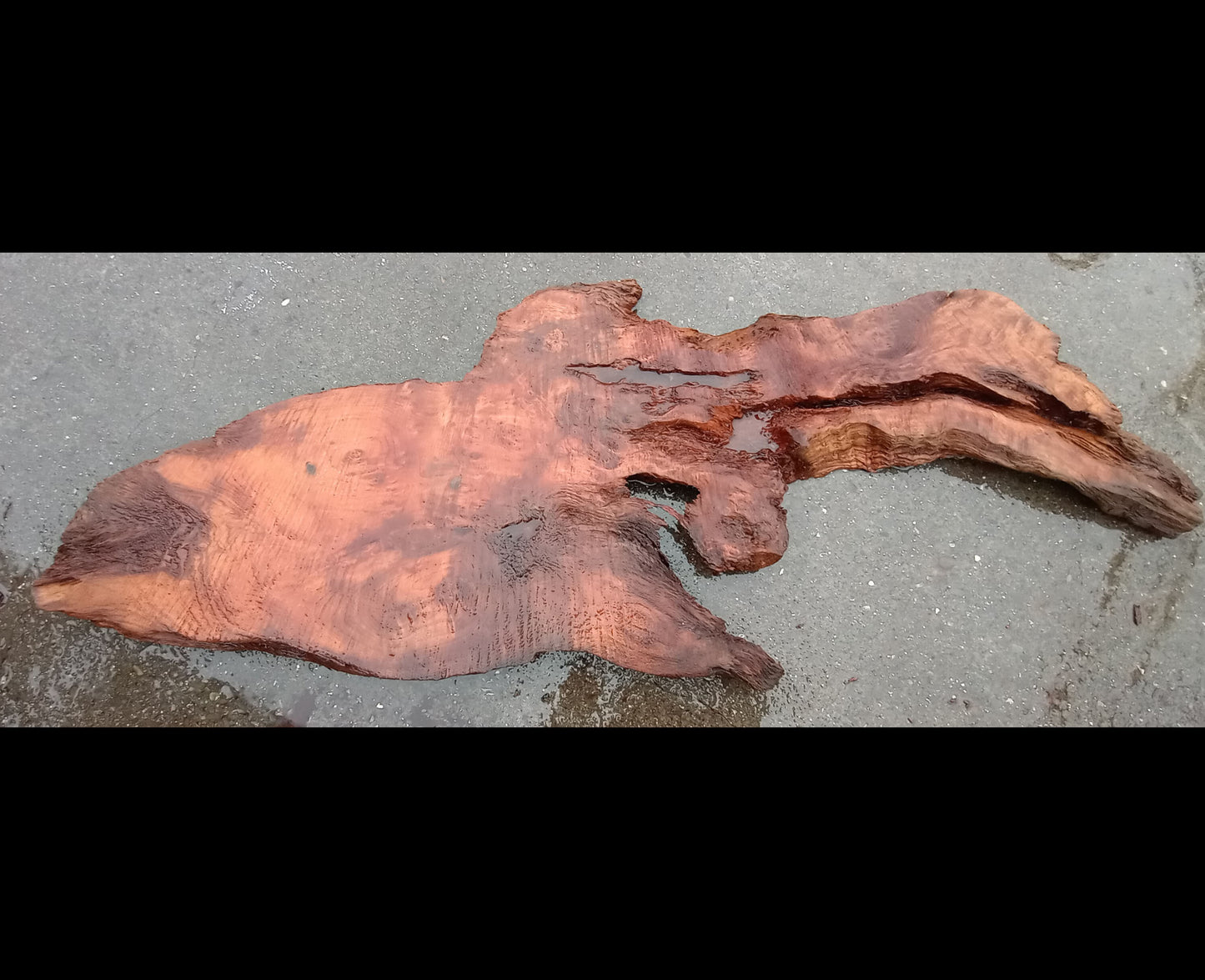 old growth | redwood burl | live edge | DIY craft wood | river table | BS1604