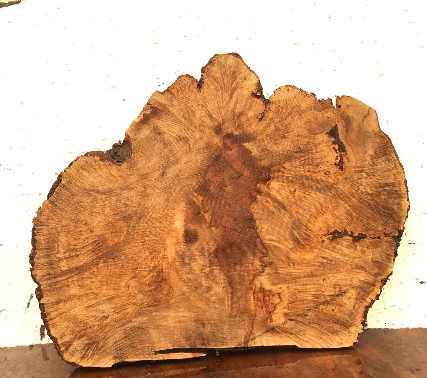 Maple burl slab | live edge slab | DIY craft ideas | bsmpl8010