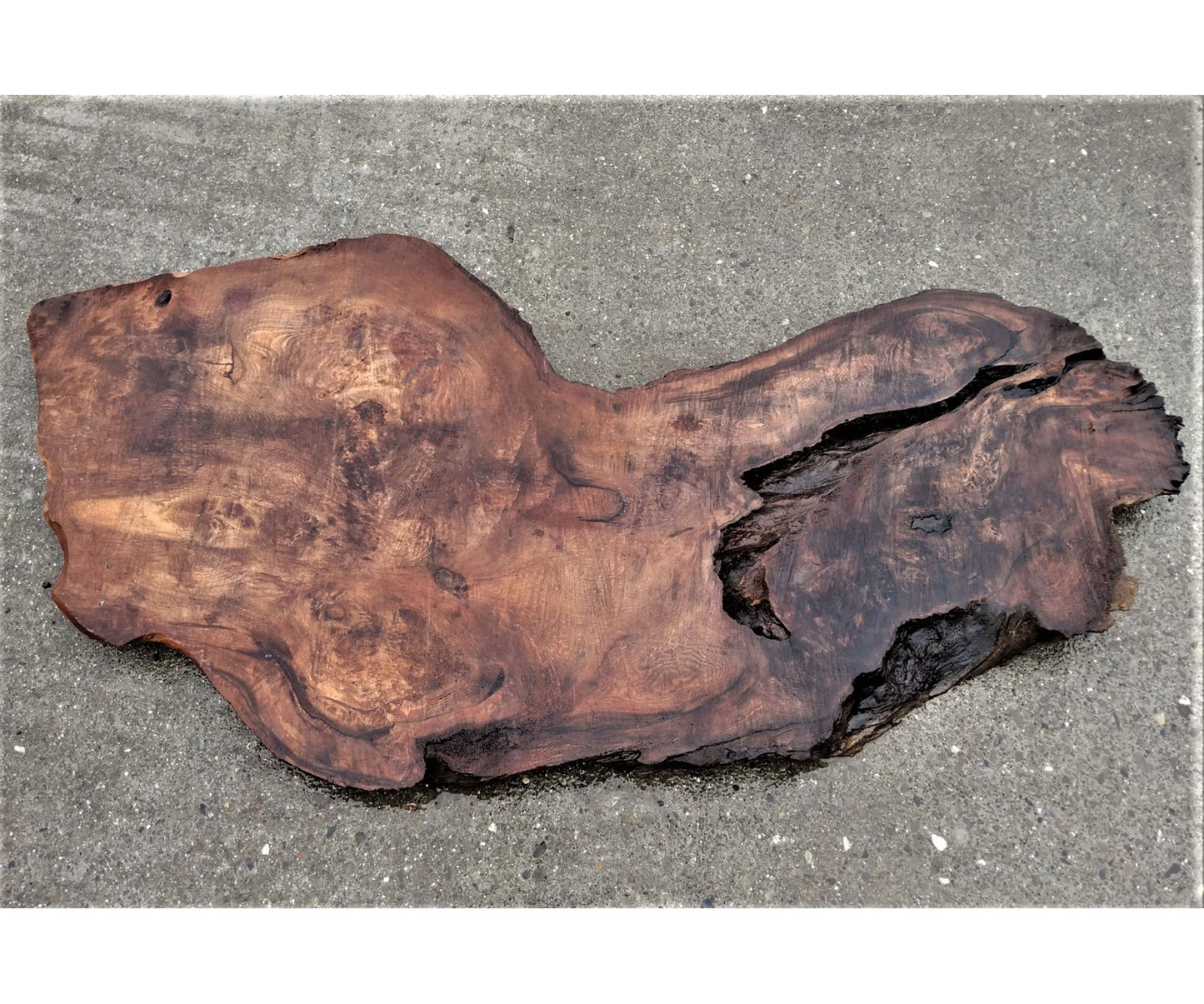 Live edge redwood | burl table | craft woods | bsz1602