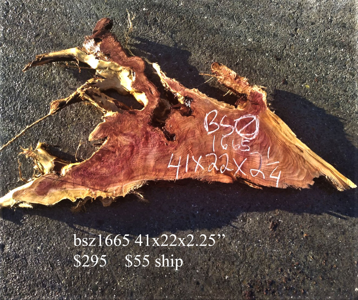 live edge redwood burl slab | river table | craft woods| BSZ1665