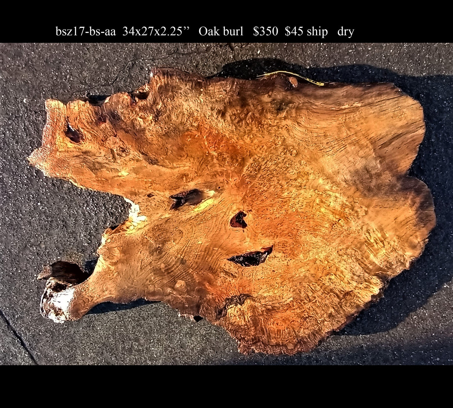 Oak Burl | Live edge slab | DIY | Craft | bsz17