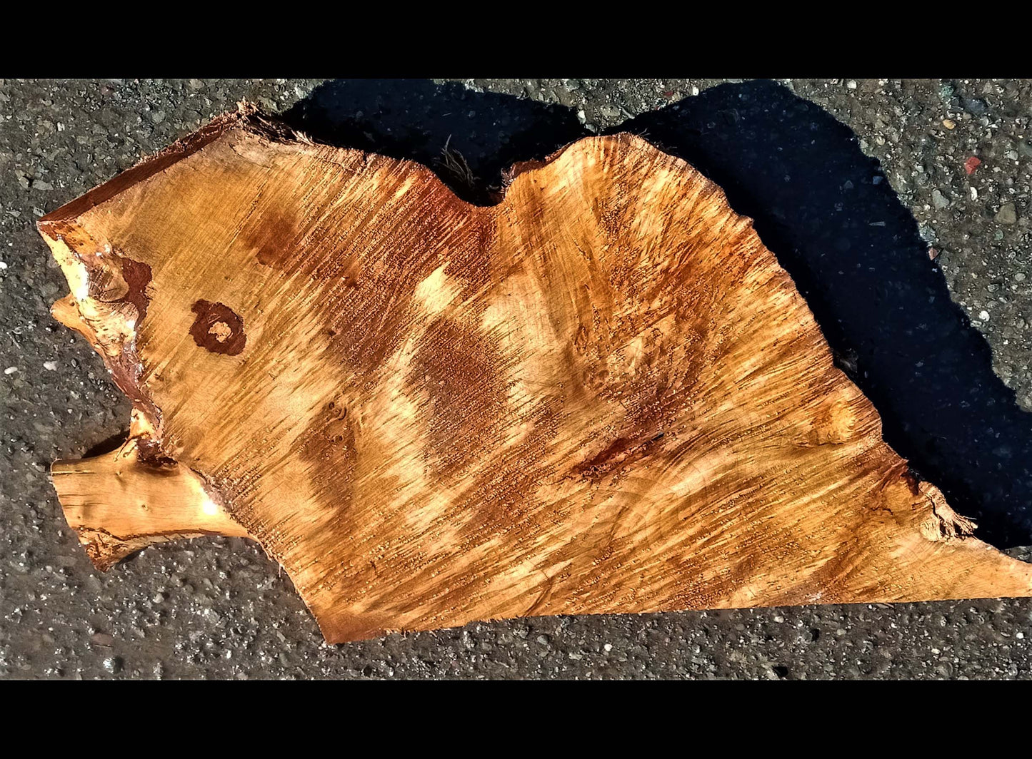 Maple burl | Wood turning | bowl blank | DIY crafts | bsz5
