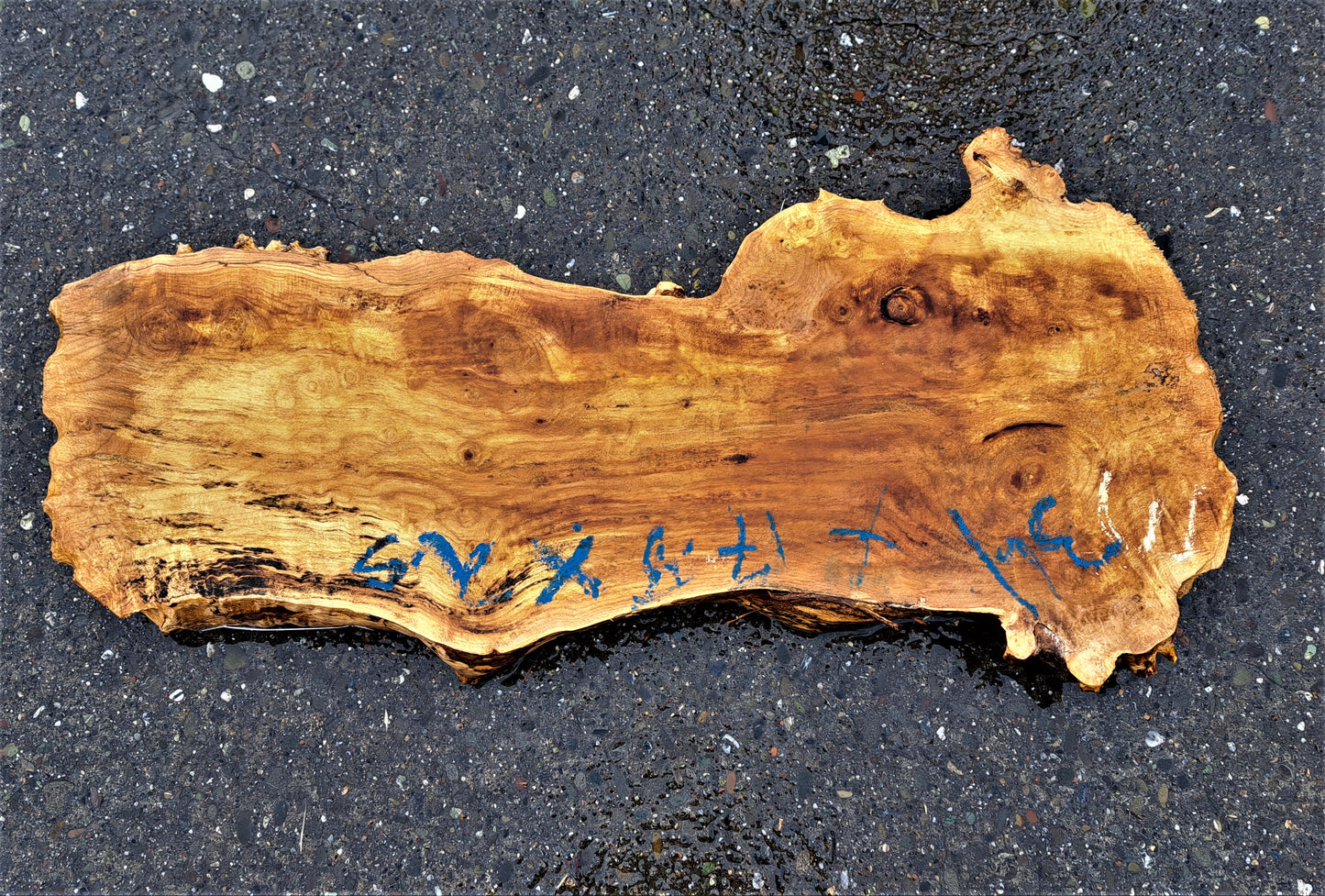 Maple slab | live edge table | burl table | river table | MA-103