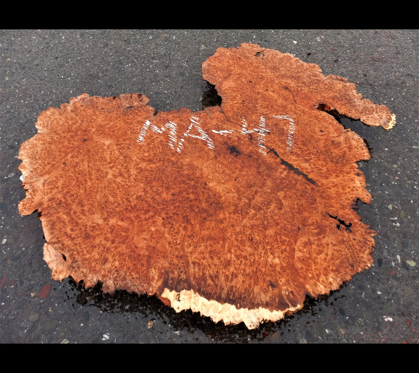 Live edge slab | resin art | river table | Maple burl slab | DIY | MA-47