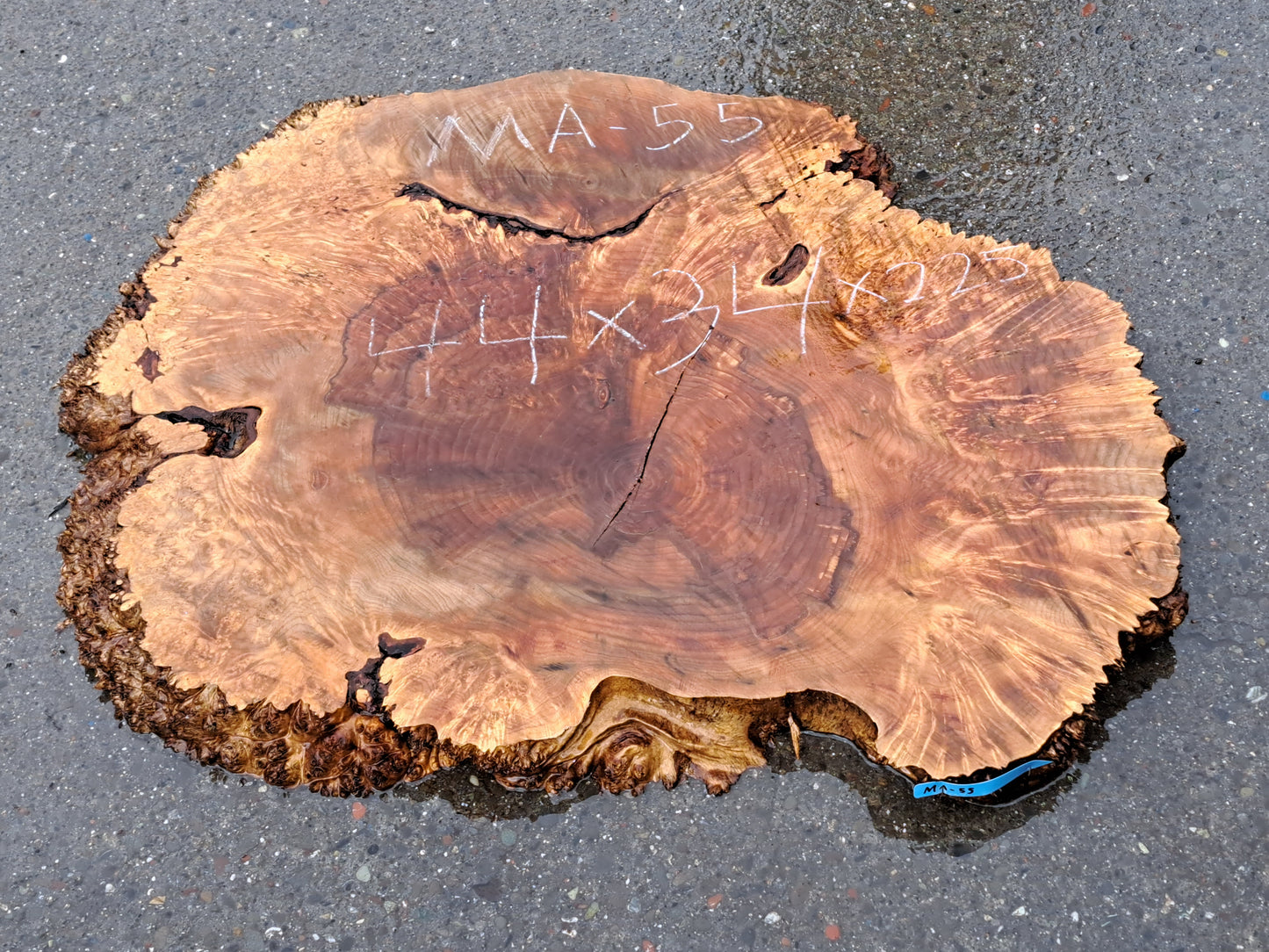 Maple burl slab | cookie cut | live edge slab | DIY wood crafts | MA-55