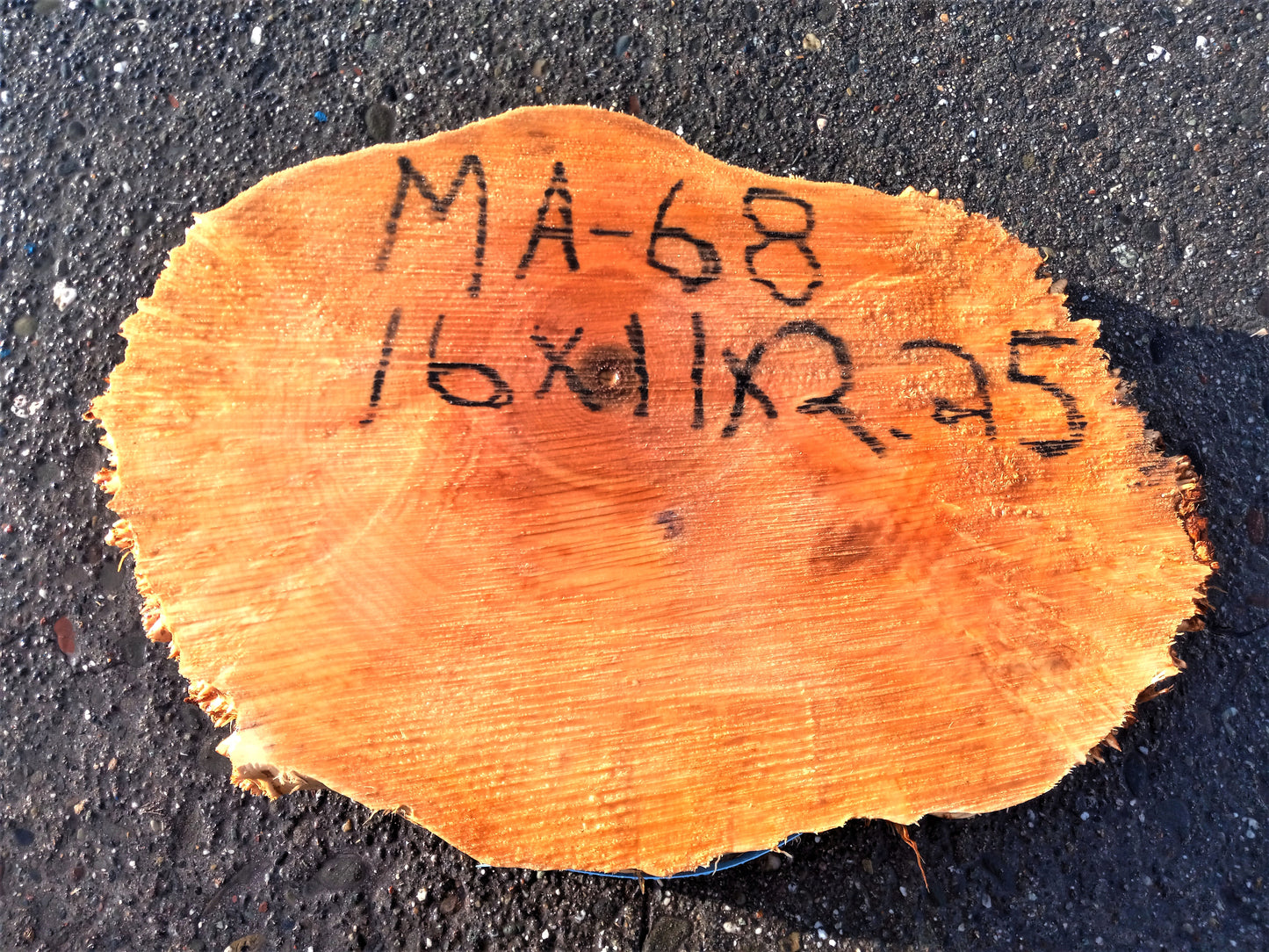 Maple burl s;lab | live edge slab | DIY wood crafts | ma-68
