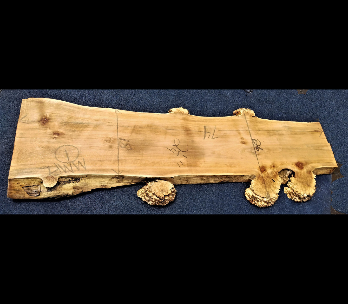 Maple cluster burl log | river table top | counter top | mppl1