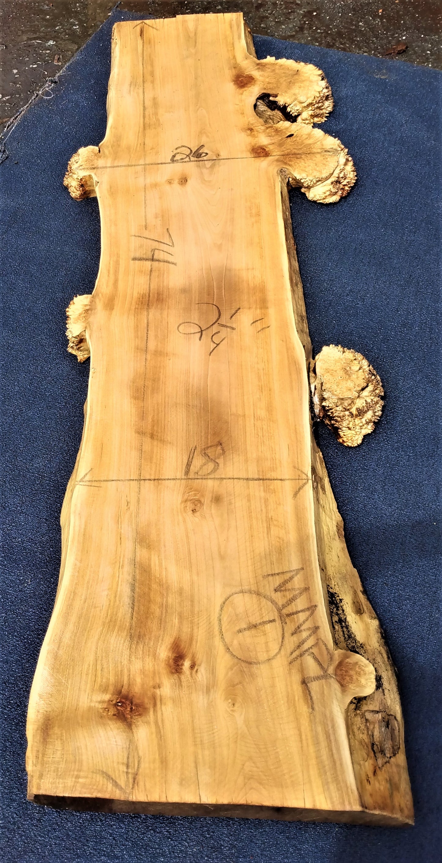 Maple cluster burl log | river table top | counter top | mppl1