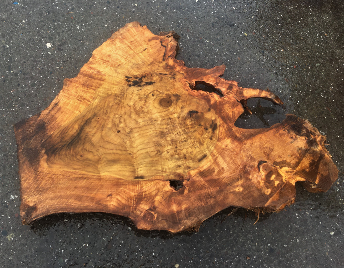 Live edge slab | Myrtle burl | river tables | DIY wood crafts | MR-407