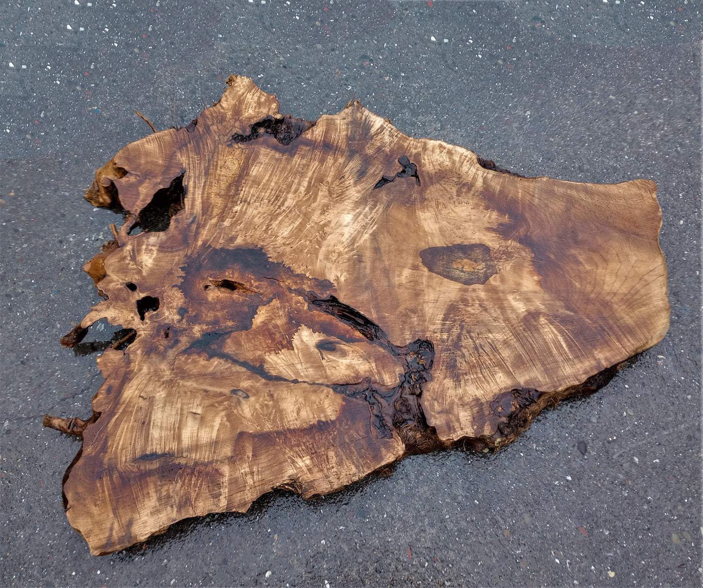 Myrtle burl | live edge slab | Bay Laurel | DIY wood ideas | mrt413