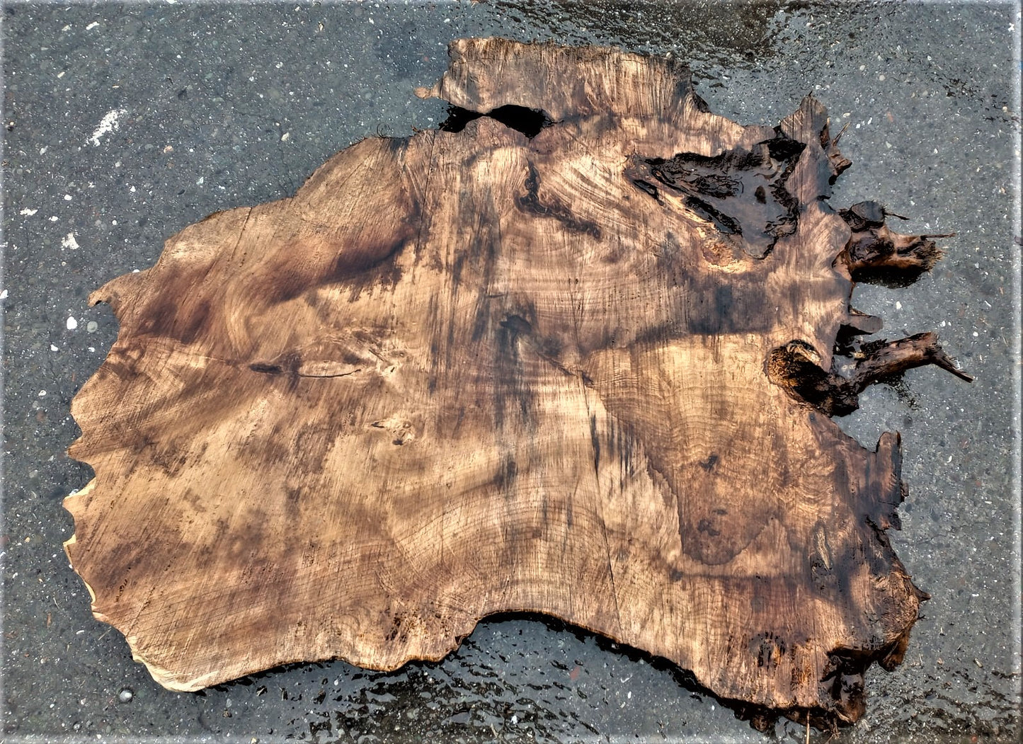 Myrtle burl slab | live edge | epoxy table | DIY wood crafts | mrt415