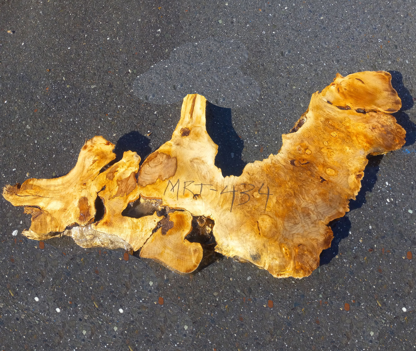 Myrtle wood burl | serving tray | resin art | DIY craft wood | Wall srt | mrt432