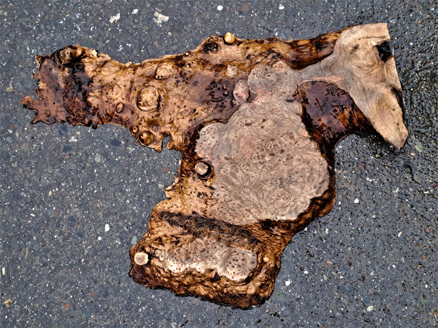 Myrtle wood | burl slab | live edge | charcuterie | DIY wood crafts | mrt476