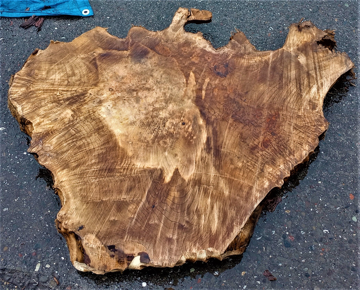 Live edge slab | Myrtle burl slab | DIY wood crafts | mrt440