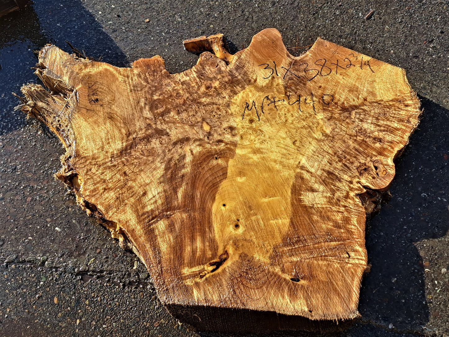Live edge slab | Myrtle burl slab | DIY wood crafts | mrt440