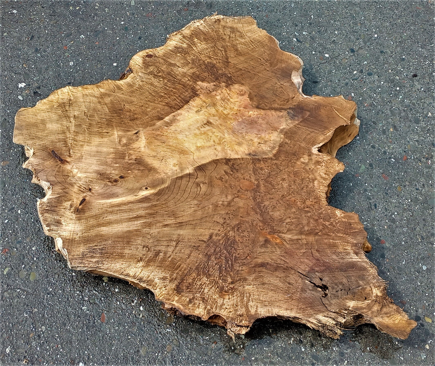 Live edge slab | Myrtle burl top | Bay Laural | DIY woods | mrt441