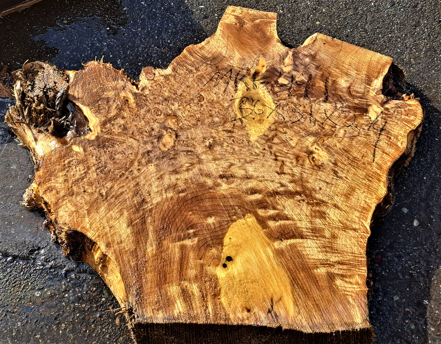 Live edge slab | Myrtle burl top | Bay Laural | DIY woods | mrt441