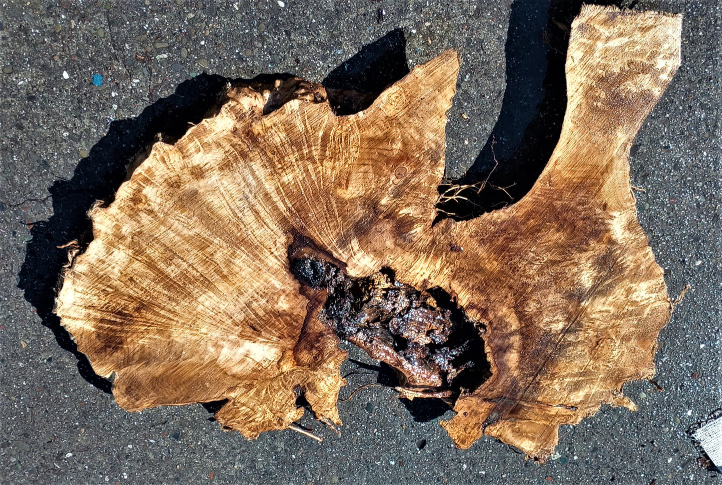 Myrtle burl | live edge slab | epoxy river table | DIY wood ideas | mrt444