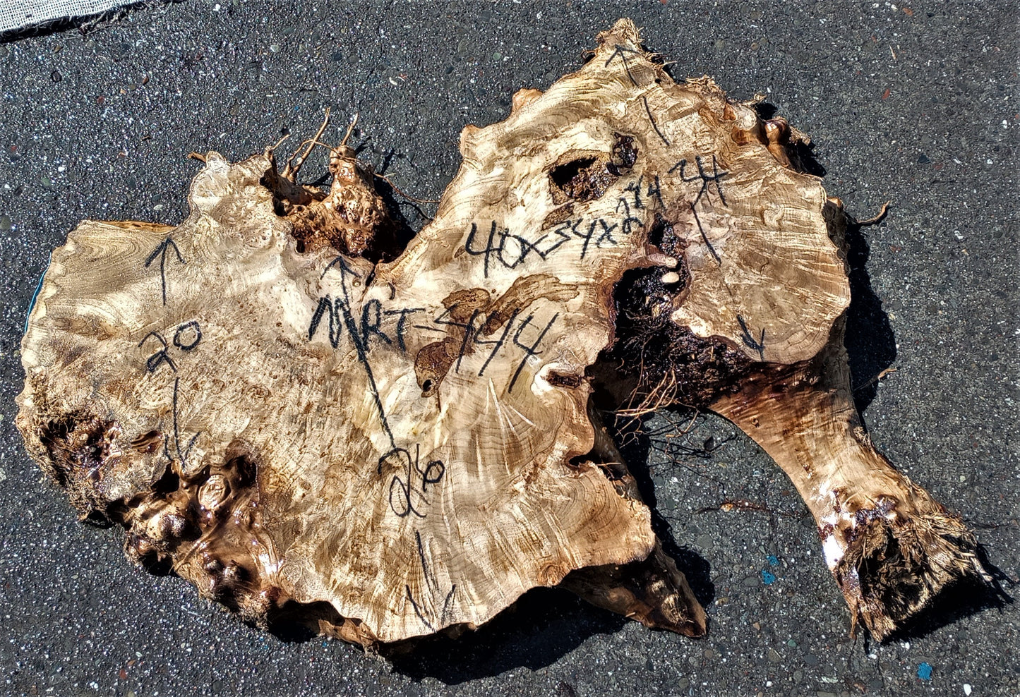 Myrtle burl | live edge slab | epoxy river table | DIY wood ideas | mrt444