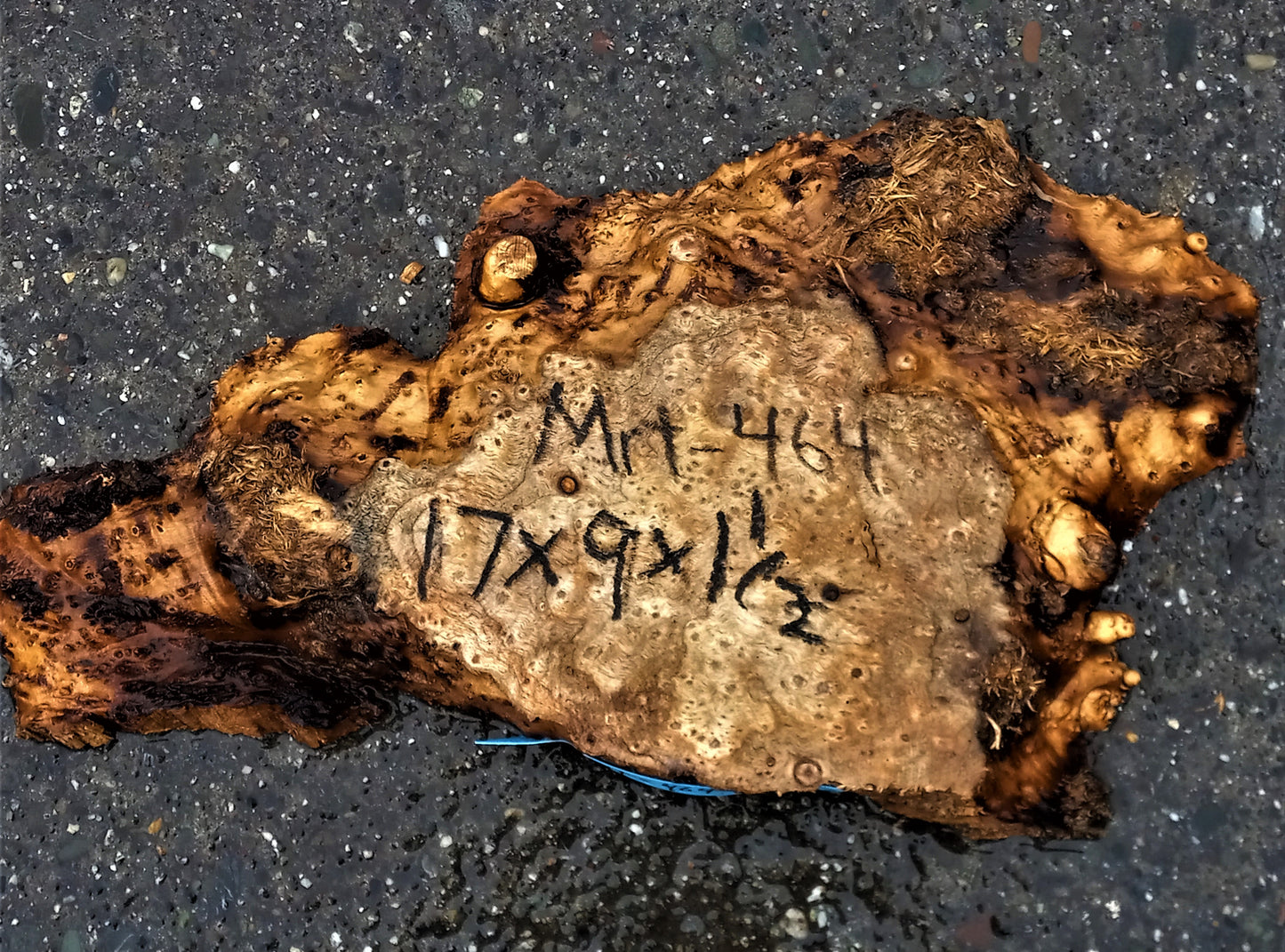 Myrtle burl | Bay burl | live edge slab | DIY wood crafts | mrt464