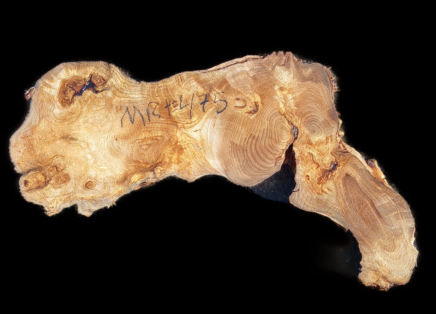 live edge slab | Myrtle burl | DIY wood crafts | charcuttery | mrt477