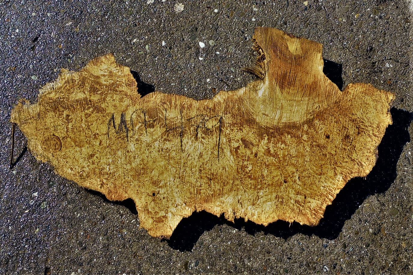 Myrtle burl slab | live edge wood | epoxy river table | DIY | mrt479
