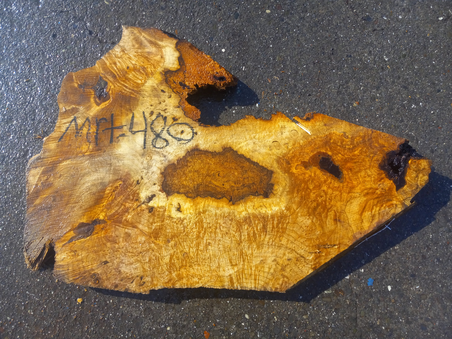 Myrtle slab | Bay burl | craft wood | DIY crafts | epoxy ideas | MRT-480