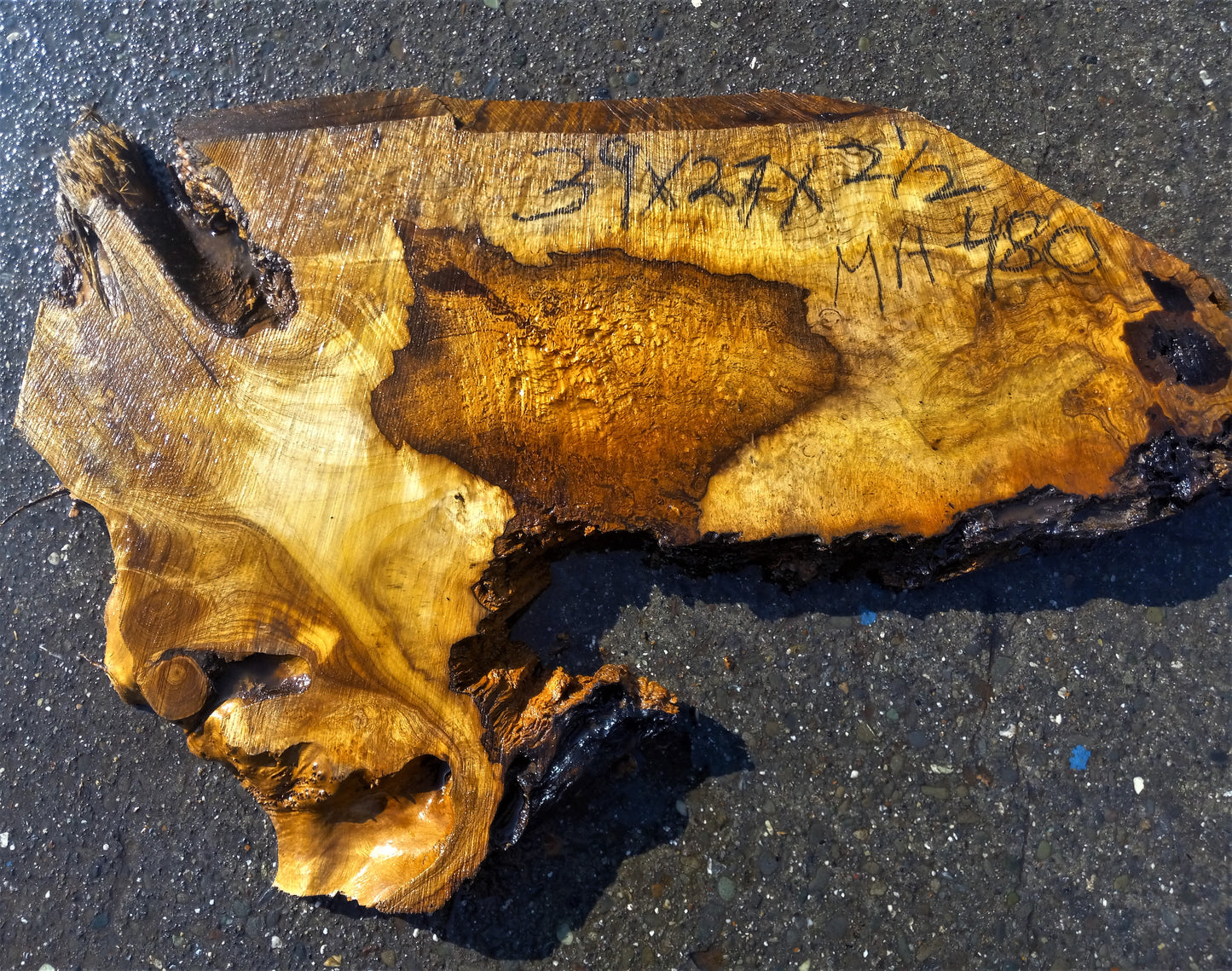 Myrtle slab | Bay burl | craft wood | DIY crafts | epoxy ideas | MRT-480