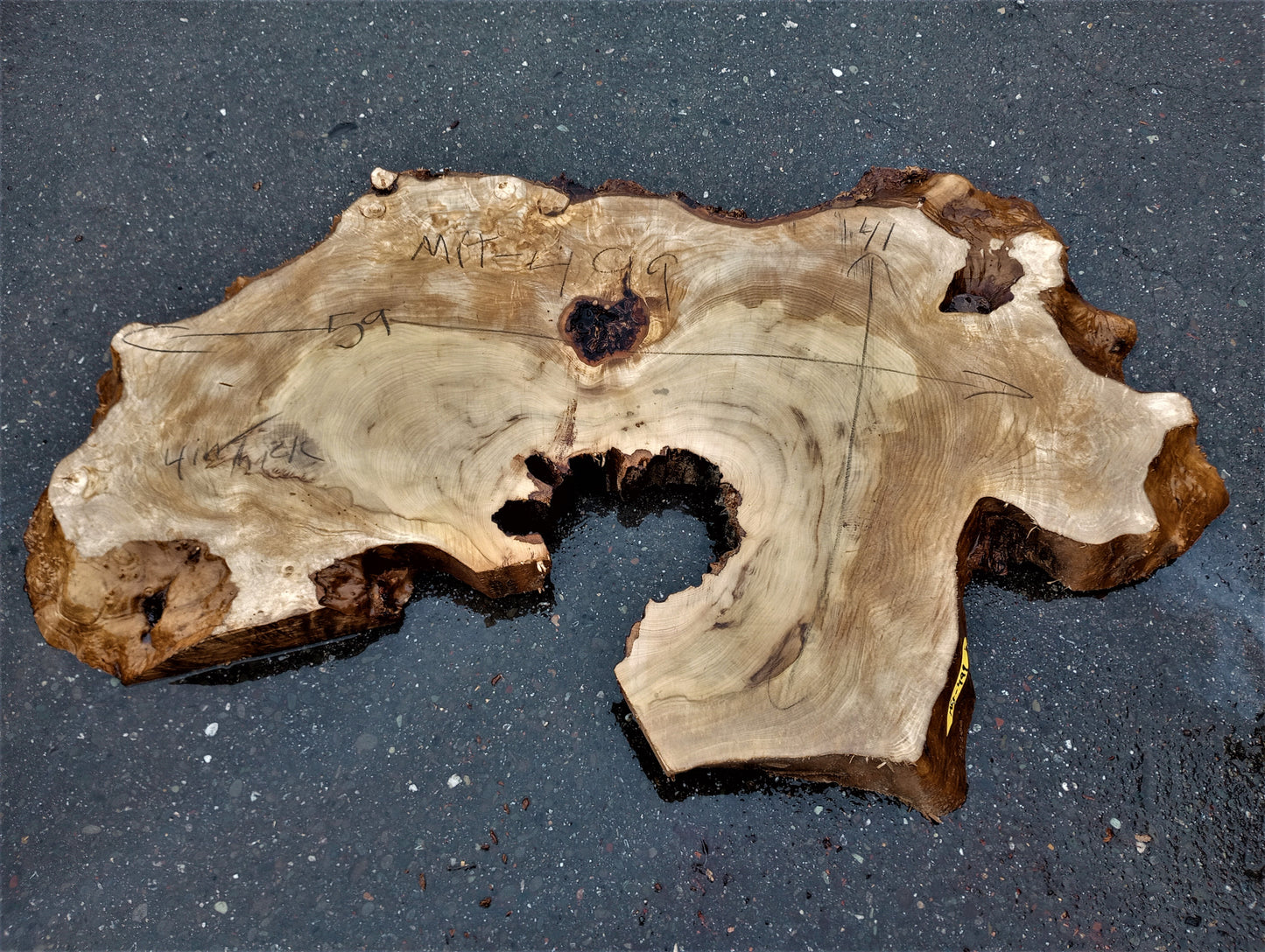 Myrtle burl | live edge slab | Bay | DIY wood ideas | mrt499
