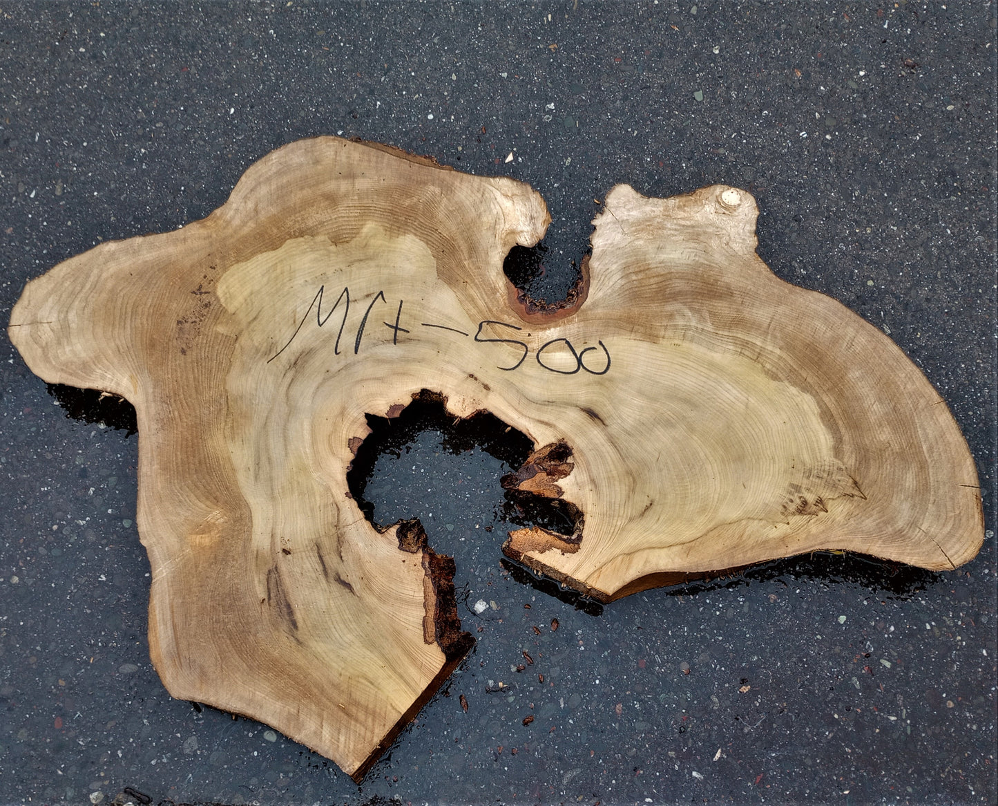 Myrtle burl | live edge slab | Bay | DIY wood ideas | mrt500