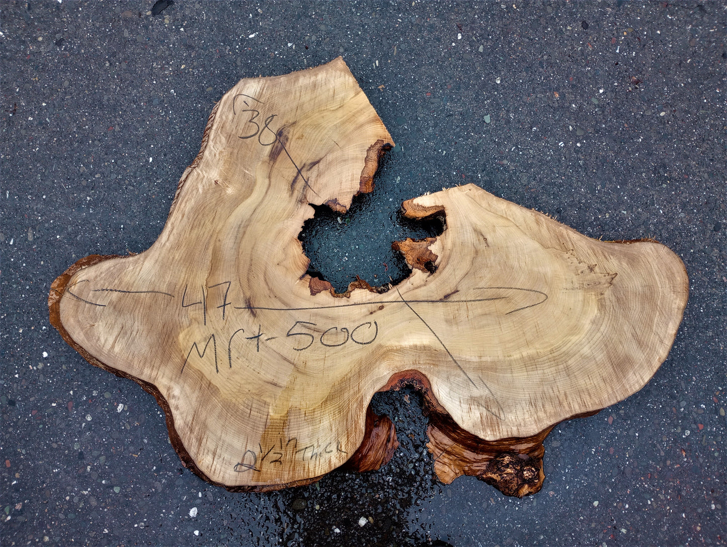 Myrtle burl | live edge slab | Bay | DIY wood ideas | mrt500