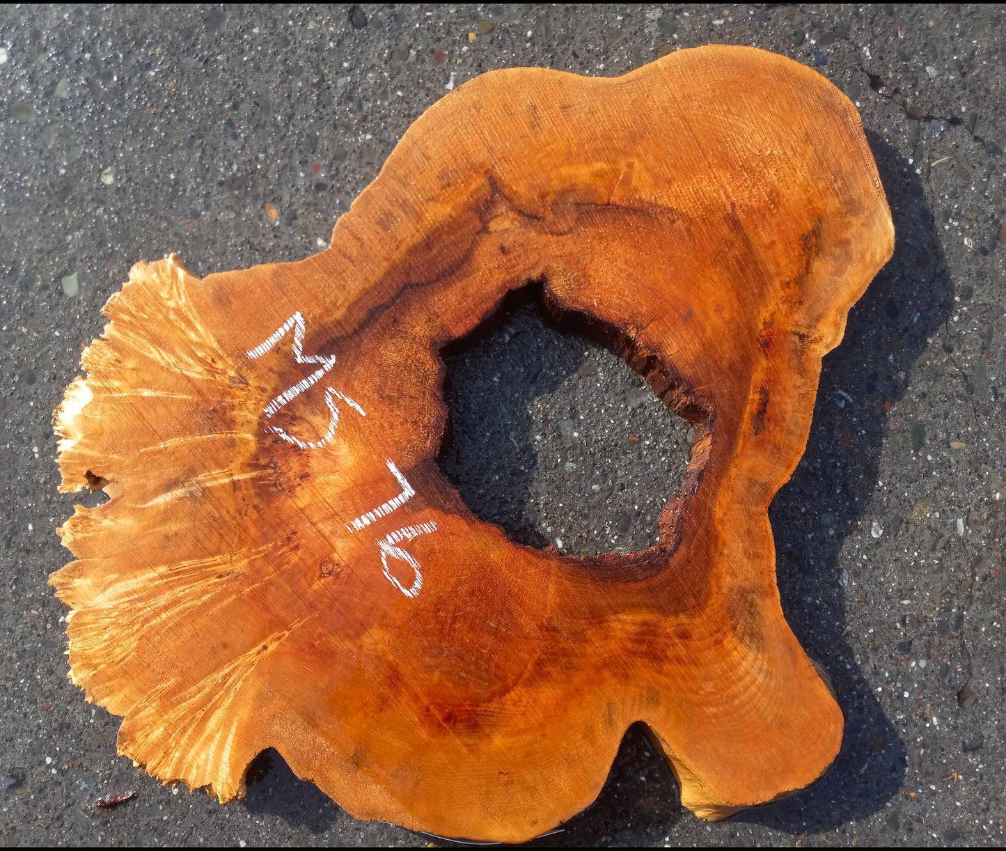 Maple burl slab | live edge maple | Burl table | wall mirror | MS-76