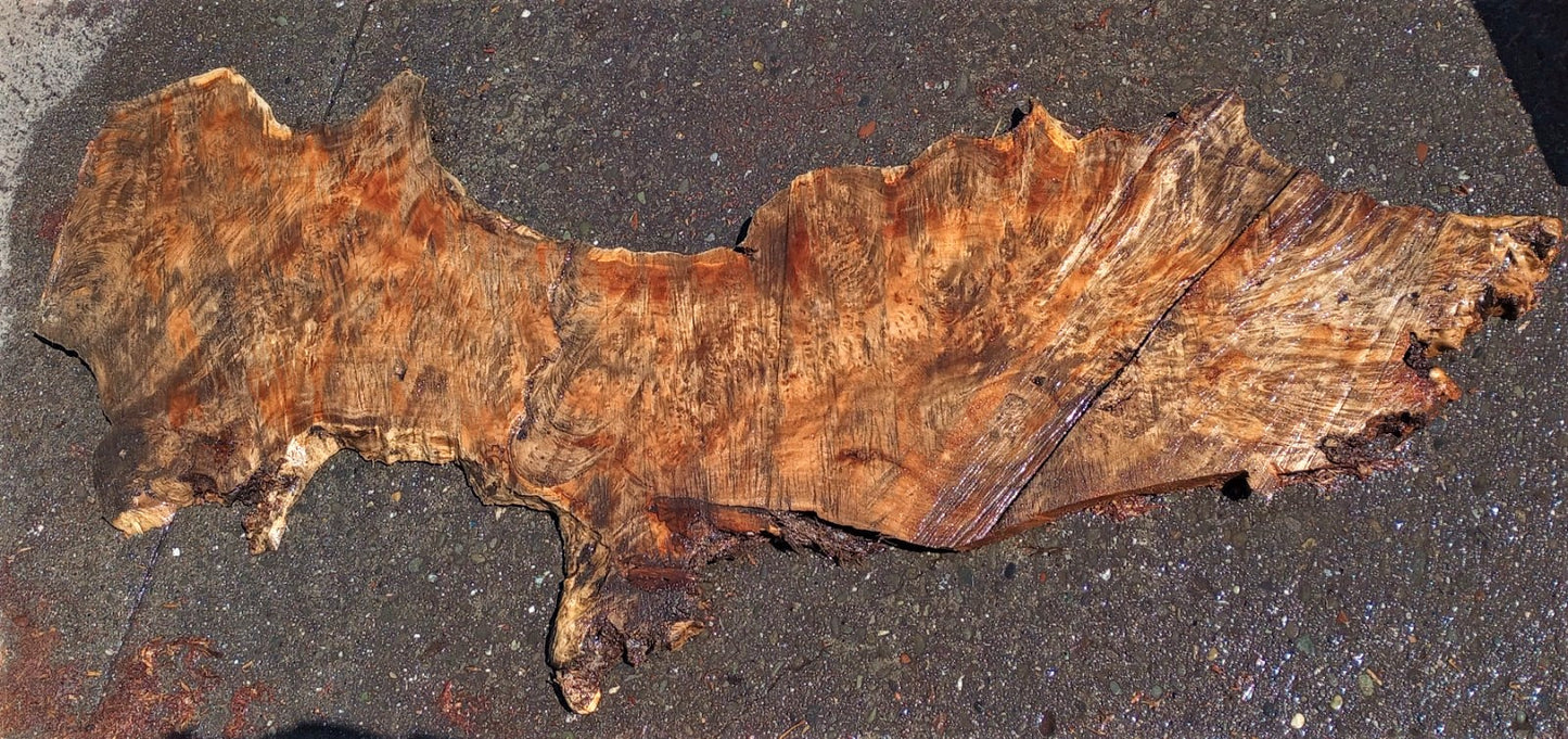 Poplar slab | live edge burl | river table | DIY craft wood | p302