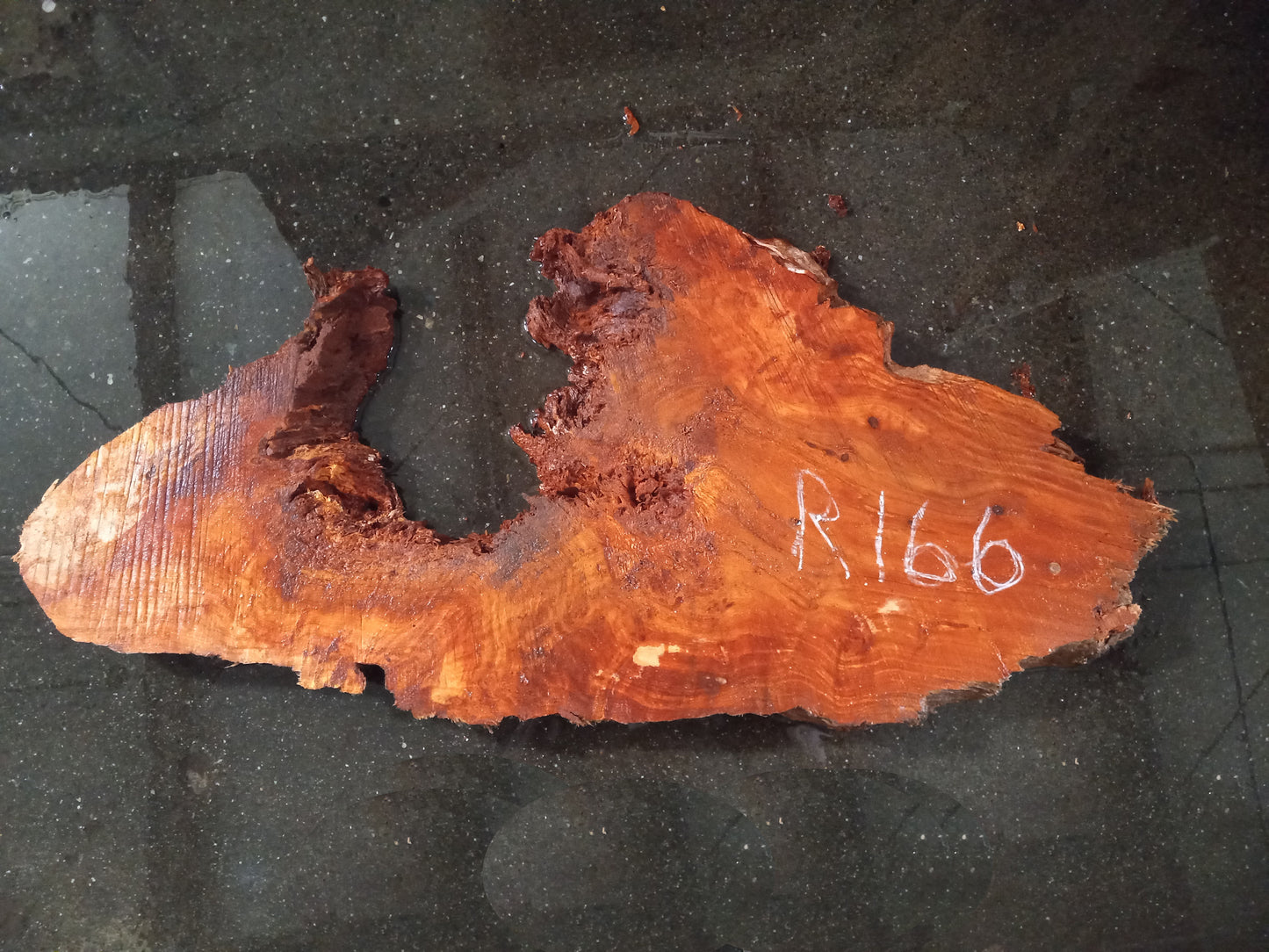 Redwood burl | live edge slab | river table | DIY craft wood | r-166