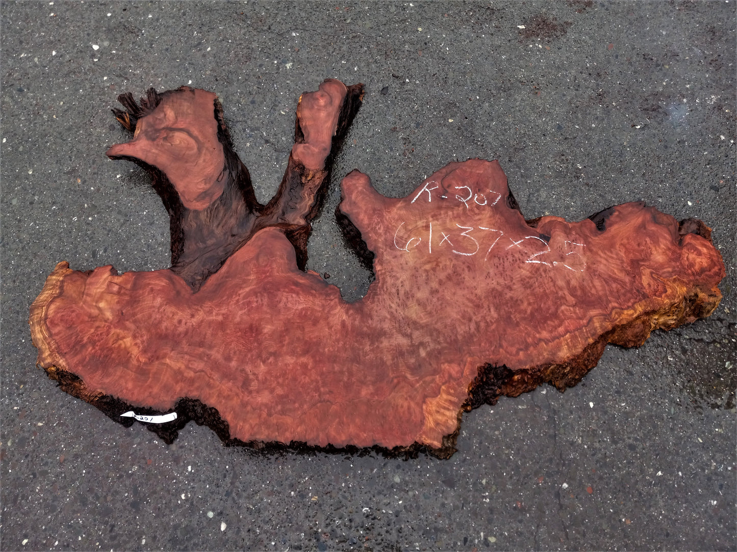 redwood curly lace burl | Live edge slab | epoxy river table | DIY | r-207