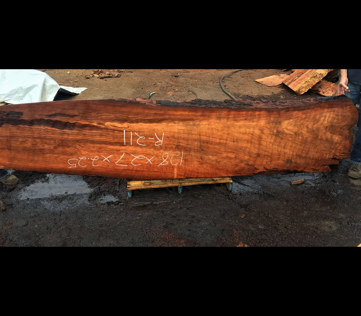 Live edge slab | curly Redwood | DIY craft ideas | rustic bar counter | r-211