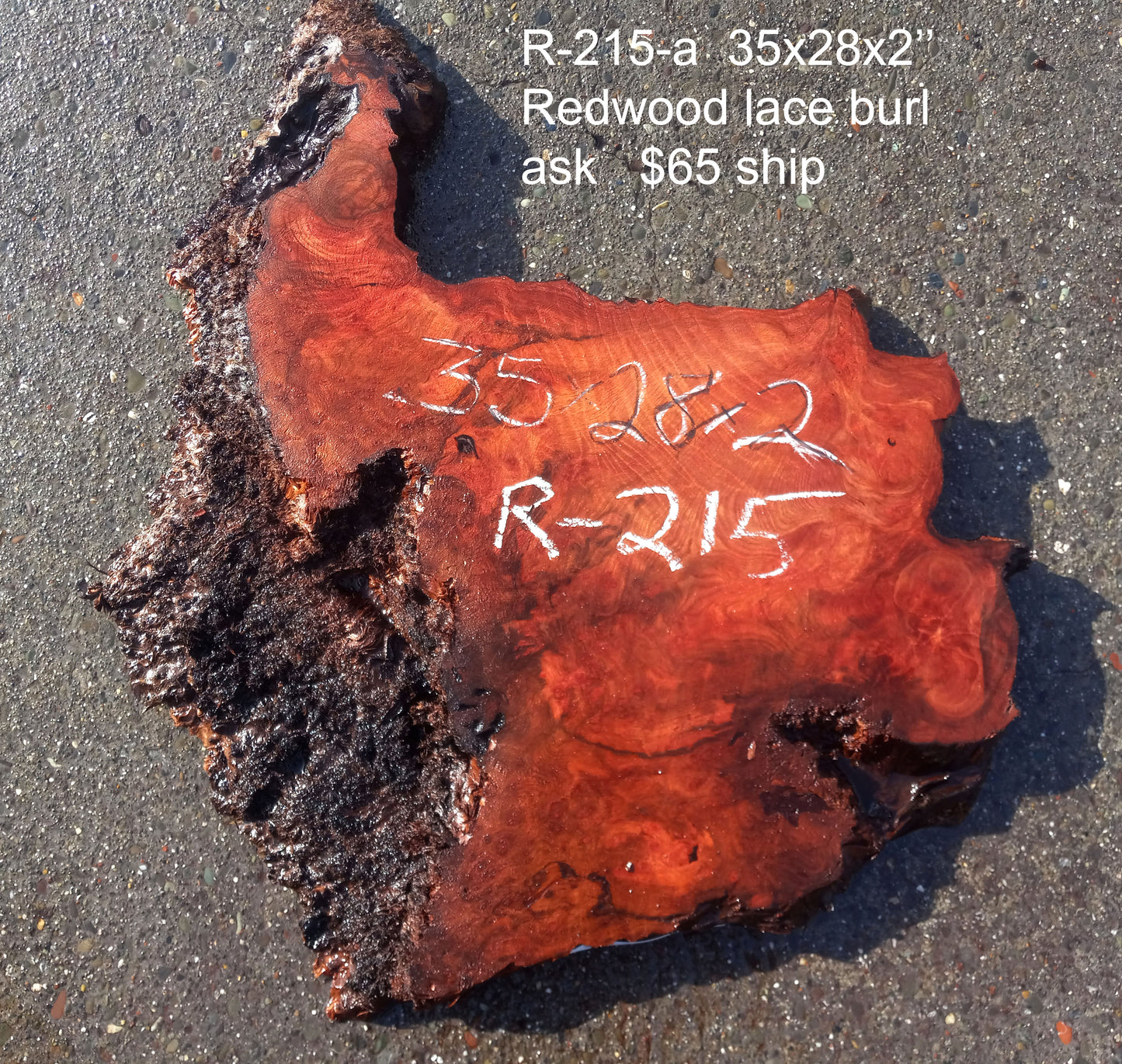 redwood lace burl | live edge slab | crafts | burl | R-215
