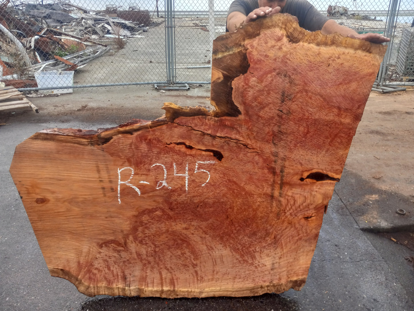 redwood lace burl | Craft woods | wood turning | DIY crafts | R-245