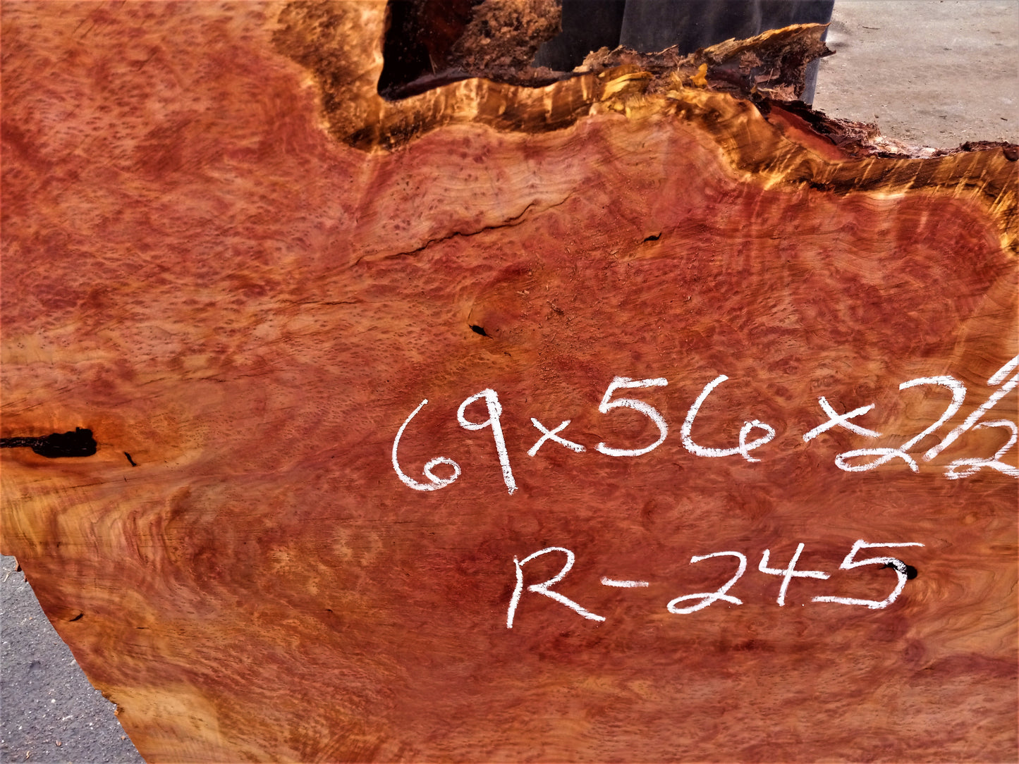 redwood lace burl | Craft woods | wood turning | DIY crafts | R-245