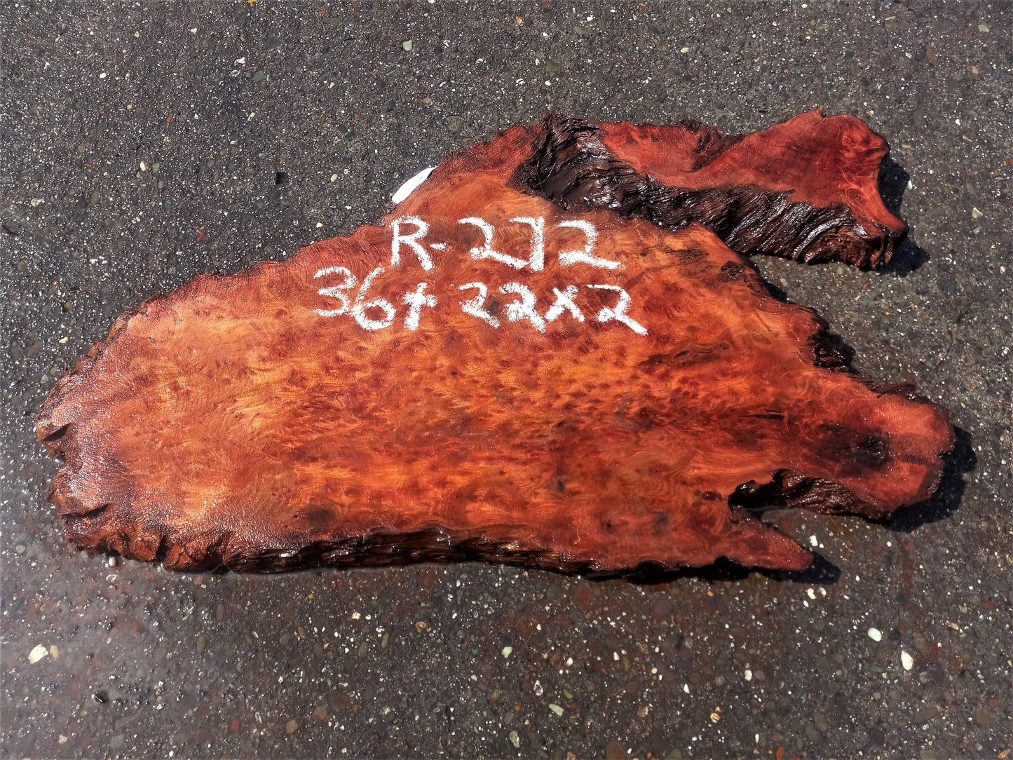 LIve edge burl | oldgrowth redwood | river tables | Burl table | r-272