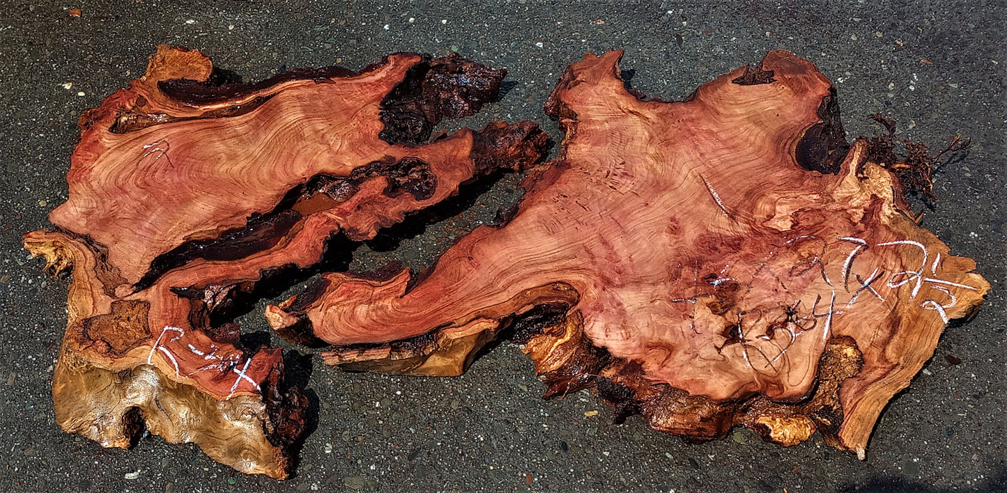 epoxy river table | redwood burl | Wall sculpture | DIY wood crafts | R-34