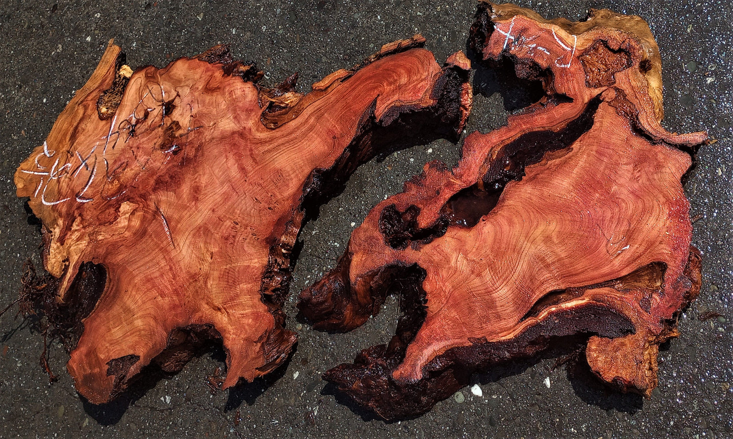 epoxy river table | redwood burl | Wall sculpture | DIY wood crafts | R-34