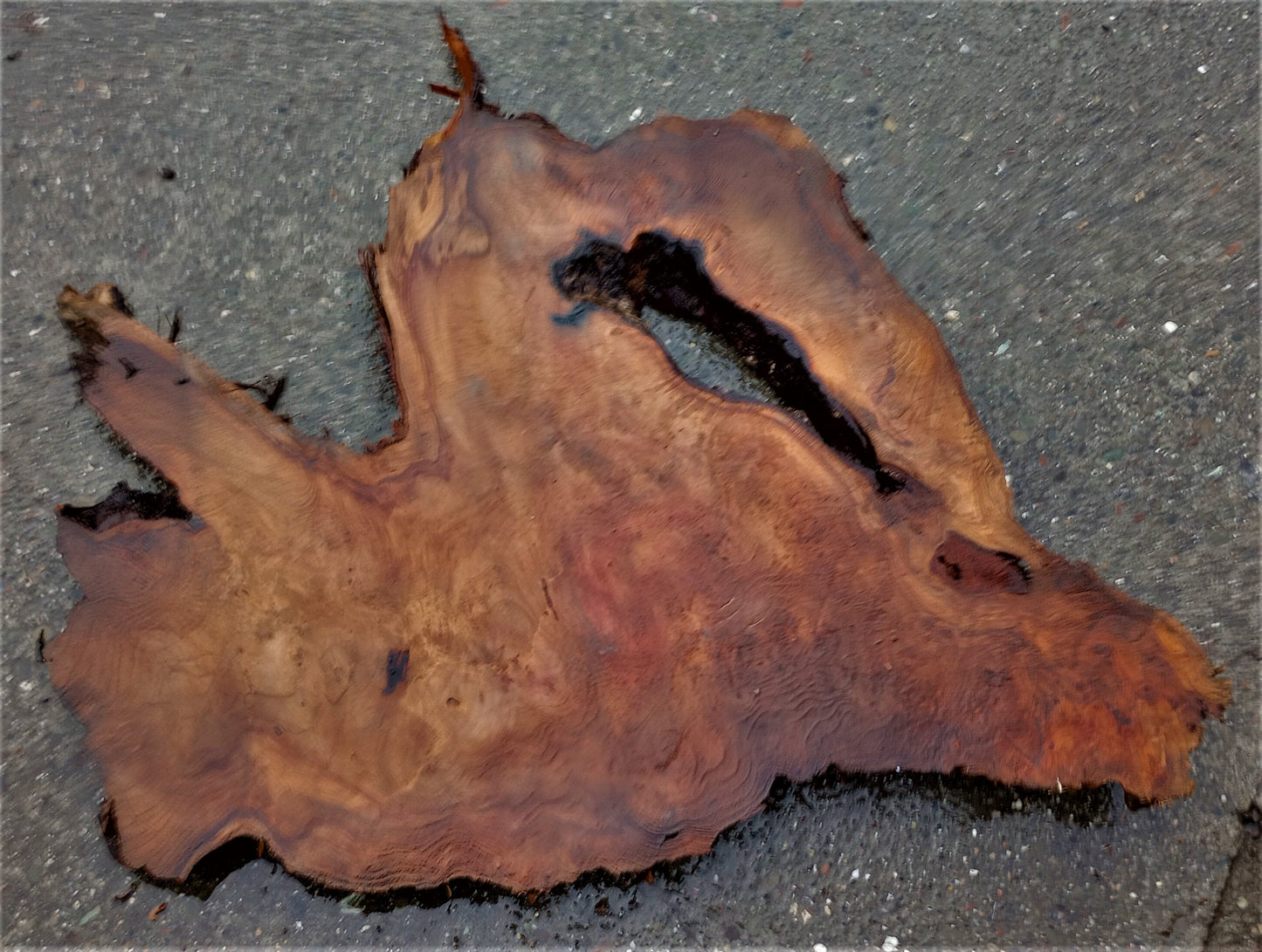 old growth redwood | live edge | dining table | DIY crafts | burl | R-350