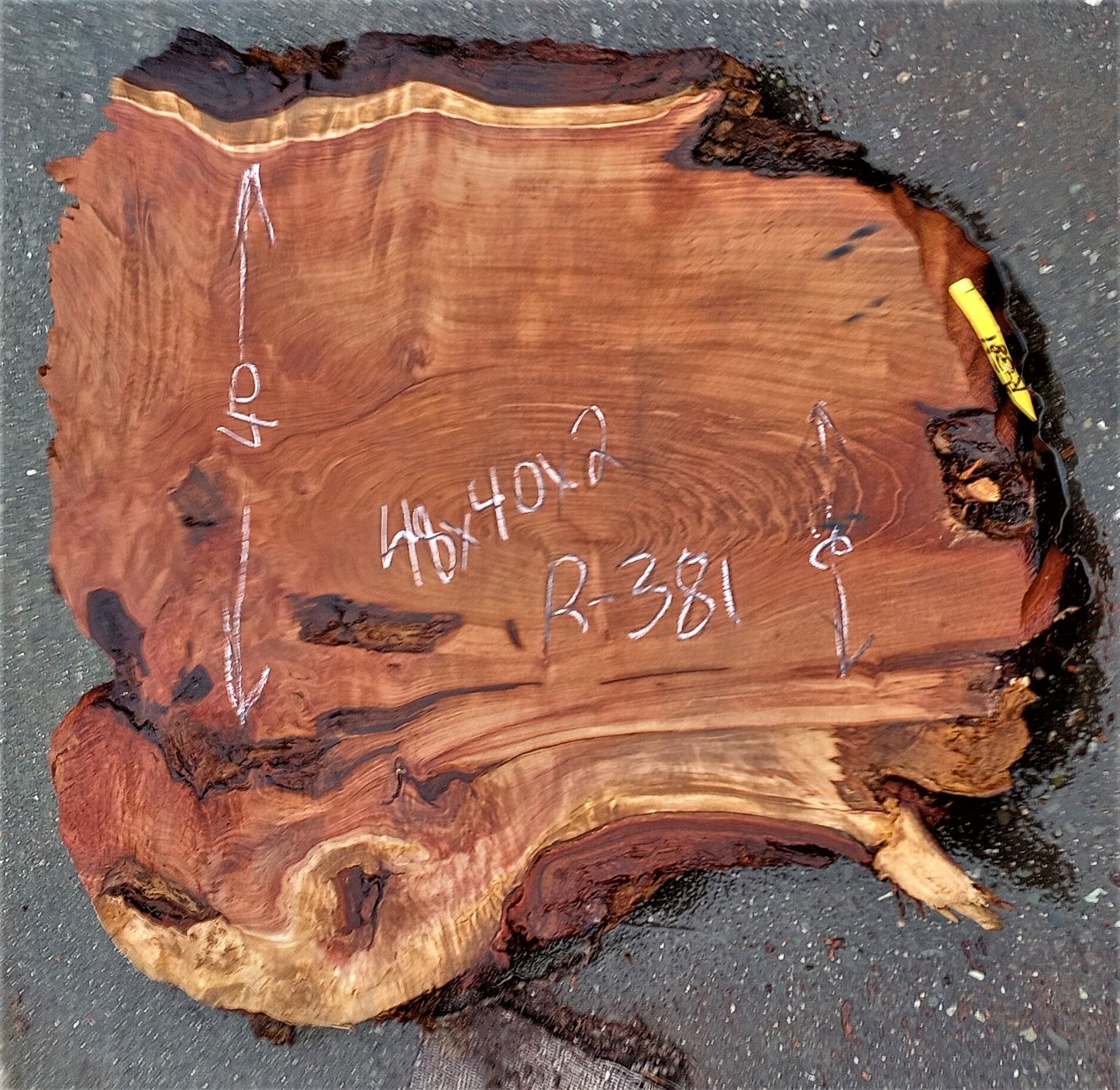 Redwood burl | live edge slab | burl table | DIY wood craft | r381