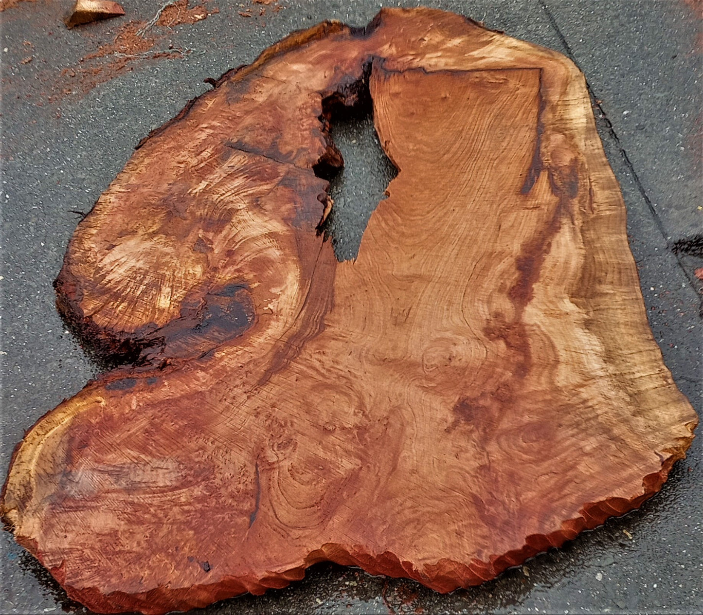 Redwood burl | live edge slab | burl table | DIY wood craft | r384
