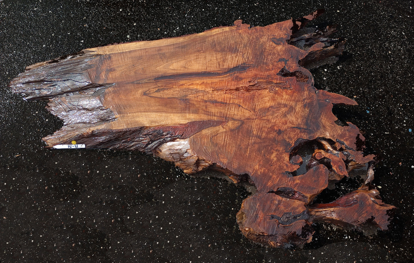 redwood burl slab | live edge slab | DIY wood crafts | Bar counter | r-51
